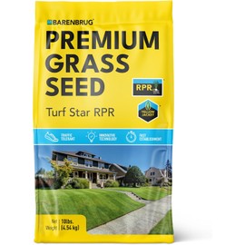 Barenbrug Barenbrug Turf Star Regenerating Perennial Ryegrass Lawn Seed with Yellow Jacket Seed Coating, Fast-Acting Durable Grass Seed Mix for Lawns, 10-lb. Bag