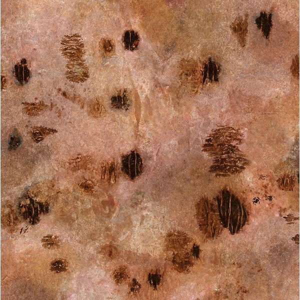 Sugared and Bronzed-6L Poster Print - Melissa Renee (12 x