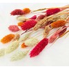100Pcs Fall Dried Flowers Stems Natural Dried Pampas Grass Bouquets