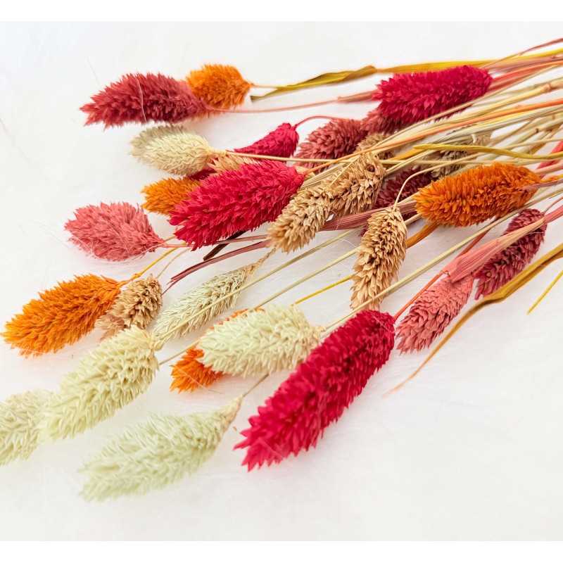 100Pcs Fall Dried Flowers Stems Natural Dried Pampas Grass Bouquets