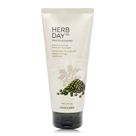The Face Shop Herb Day 365 Cleansing Foam 170ml Mung Bean & Mugwort / 더페이스샵 허브데이 365 클렌징폼 170ml 녹두앤쑥