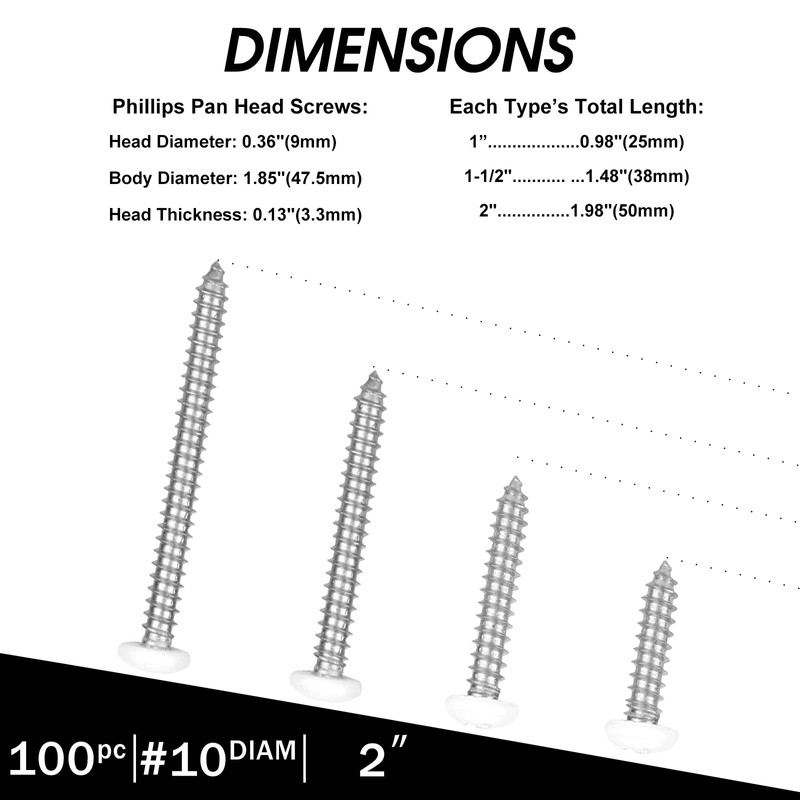 White Head 100 PCS #10x2 Stainless Steel Phillips Pan Head