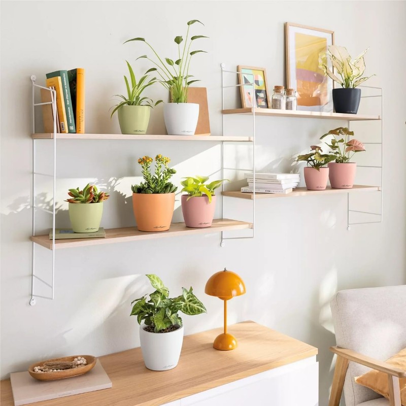 LECHUZA Classico Color 14 Deco 16682 Table Pot Matte Surface