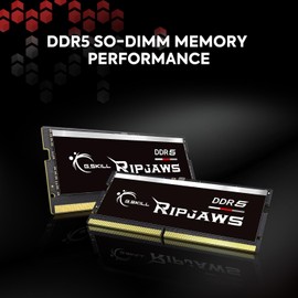 G.SKILL Ripjaws DDR5 SO-DIMM Series DDR5 RAM 32GB (2x16GB) 5600MT/s CL40-40-40-89 1.10V Unbuffered Non-ECC Notebook/Laptop Memory SODIMM (F5-5600S4040A16GX2-RS)