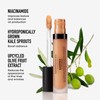 bareMinerals BAREPRO 16HR All Over Skin-Perfecting Natural Matte Concealer Mineral