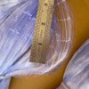 Nylon Silk Nets Fishing Net Gill Net semi-Finished Products 2.75x2.75cm