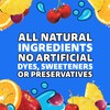 Capri Sun Fruit Punch Flavored Juice Drink Blend with other