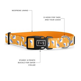 Tella & Stella - Dog Collar for Small Dog - Adjustable Collar - 9 in to 12.5 in Wide-Soft on Dog’s Fur - Lined with Neoprene for Comfort - Chrome D Ring for Hooking The Leash (Seagull, Small)