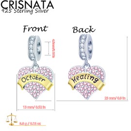 CRISNATA Jan-Dec 12 Month Birthstone Heart Pendant Charms with Clear CZ 925 Sterling Silver 2 Tone Gold Beads Fits European Birthday Bracelet Gifts for Mother/Wife/Dad, Sterling Silver Cubic Zirconia,