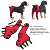 GLOGLOW 1 Pair Dog Hind Leg Braces, Dog Rear Leg