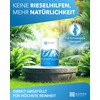 NARSA NARSA Nasenspülsalz für Nasendusche 200 Portionen Vorteilspackung | 375g