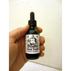 Bodhi Extracts Coral Tooth Mushroom Tincture (H. coralloides) - Better than Lion's Mane! - 0.5 fl. oz. (15 mL)