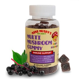 Mini Mushy's Organic Immune Support Daily Gummies | Turkey Tail, Reishi, Chaga Mushrooms, Elderberry | for Kids Ages 2+ Natural Color, Allergy Friendly, Low Sugar | Strawberry Flavor - 30 Count