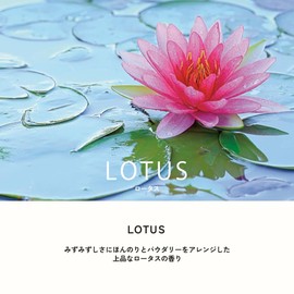 ESTEBAN Esprit de Natural Lotus Sticks 40 Sticks Combining French Refinement and Japanese Tradition
