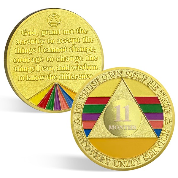 ACGZQY 11 Month Sobriety Chip - Rainbow Triplate AA Coin