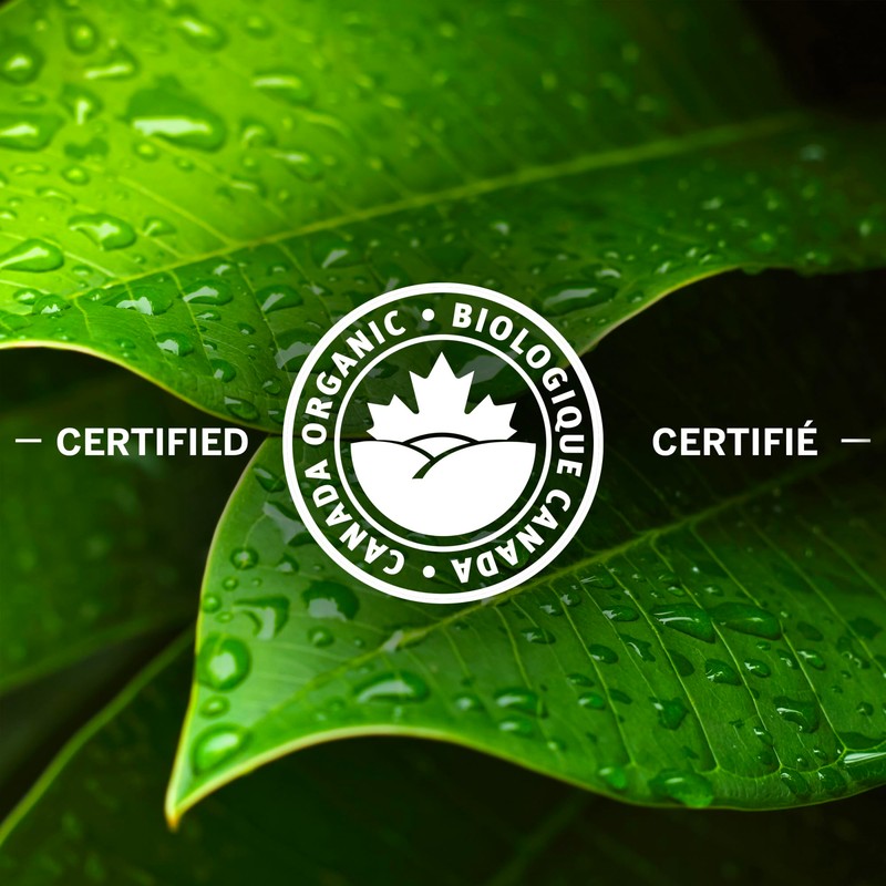 Nabob Organic Reserve Coffee 100% Compostable Pods, 292g