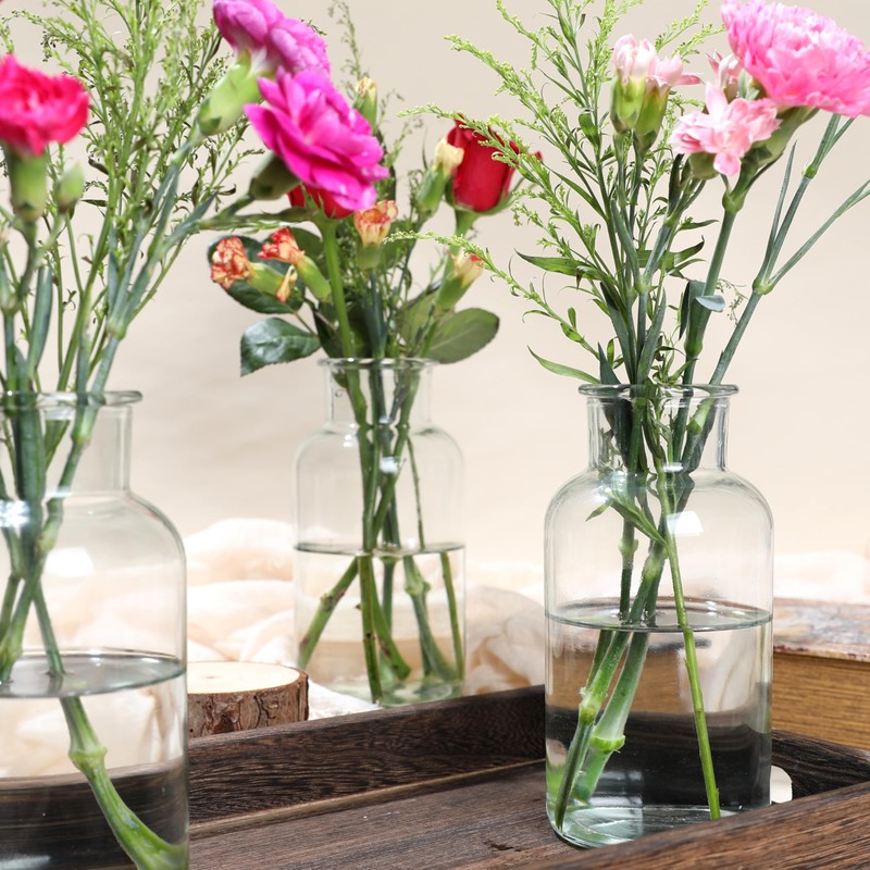 Magic Season Decorative Glass Bottles with Cork Stoppers (16.9 fl