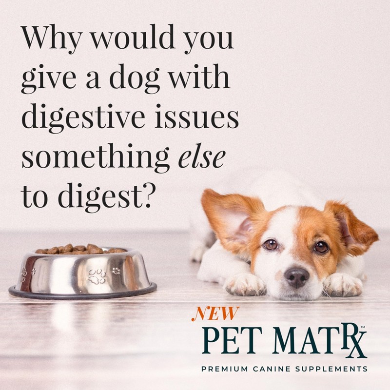 Pet MatRx Think Cognitive and Calming Supplement with Collagen and