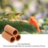 GarPet Aquarium Decoration Pyramid 3 Shrimp Tube Aquarium Decoration Shrimp