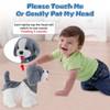 Ark miido Walking Dog Toy with Remote Control Interactive Dog