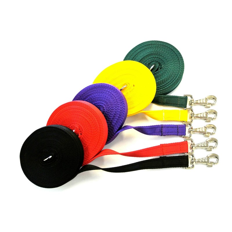 20ft 6m Horse Lunge Line Large Dog Training Lead Large