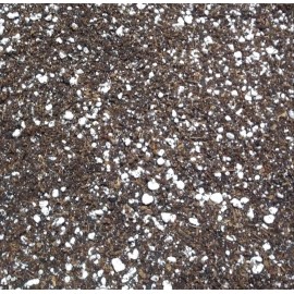 Unbranded Seed Starter Soil Mix made with Our Worm Castings, Natural Organic Nutrient Rich - 5