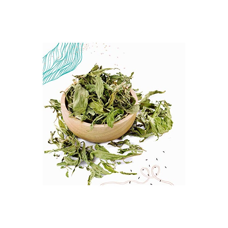 Stevia Orgánica en Hoja, 40 g, Mayan Sweet