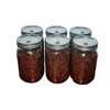 BetterFungi Sterilized Milo Grain Mushroom Substrate in Injectable Jars (6