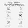 Motoaggrandize Fork Protectors for Kawasaki Ninja 650 and Z 650