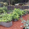 A ANLEOLIFE 6X2X1.5 ft Galvanized Raised Garden Beds Outdoor, Oval