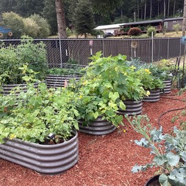 A ANLEOLIFE 6X2X1.5 ft Galvanized Raised Garden Beds Outdoor, Oval Round Metal Planter Box for Planting Vegetables Flowers Herb, Anti-Rust & Easy-Setup, Quartz Grey