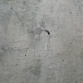 Transparent Decal Stickers Of Nerve Cell Neuron Brain 1 (Metallic Silver) Premium Waterproof Vinyl Decal Stickers For Laptop Phone Accessory Helmet Car Window Mug Tuber Cup Door USCSKUS794625SI090622