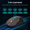 TERPORT F10 Mouse Inalámbrico 2.4G, Mouse Ergonómico de 2400 DPI