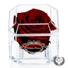 A 100% Real Rose That Lasts Years - Eternal Petals,