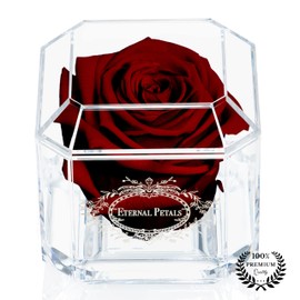 A 100% Real Rose That Lasts Years - Eternal Petals, Handmade in UK – White Gold Solo (Burgundy)