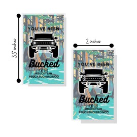 Buck Buck Bronco You’ve Been Bucked Tags Cards | 50 pk | 2x3.5” Swamp Bayou Colorful Painting Background #BuckBuckBronco for SUV Car Game attach to Horses, Rubber Ducks horse, bronco bracelets bucking