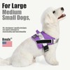 Bolux Dog Harness, No-Pull Reflective Dog Vest, Breathable Adjustable Pet