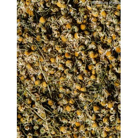Kamillenblüten | 50g | ganz | Kamillentee lose | Kamille | getrocknet | Kamillenblütentee | Kamillen Blüten Tee | Matricaria recutita | chamomilla | Gerüche-Küche |