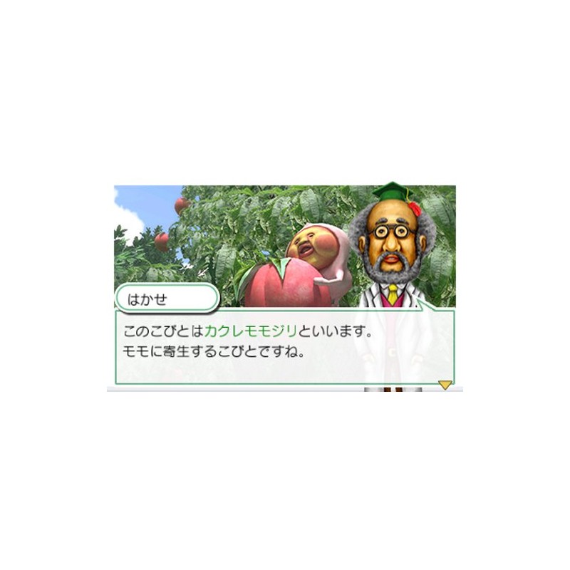 こびとづかん こびとの不思議 実験セット - 3DS