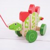 Bigjigs Toys Pull Along (Stegosaurus)