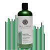 Mill Creek Biotin Shampoo - 16 Fl Oz