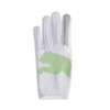 PUMA Golf Gloves, Golf Free Graphic Gloves (Left Hand), Puma