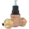 Cash Acme EB45 Pressure Regulating Valve, Double Union, 1/2 Inch
