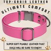ADITYNA - Pink Leather Dog Collar with Metal Buckle for