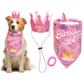 Zaabaazina Dog Birthday Decorations - Party Supplies, Pink Bandana, Hat, and Banner for Girls