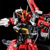 RG 1/144 Sword Impulse Gundam SpecII Color Coded Plastic Model