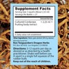 Dragon Herbs - Cultured Cordyceps Drops - 2 fl oz