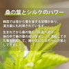 桑の葉サプリ 減糖蚕粒 120粒 (36g) 蚕粒 サプリメント 糖 コントロール ギムネマエキス ウェイトコントロール