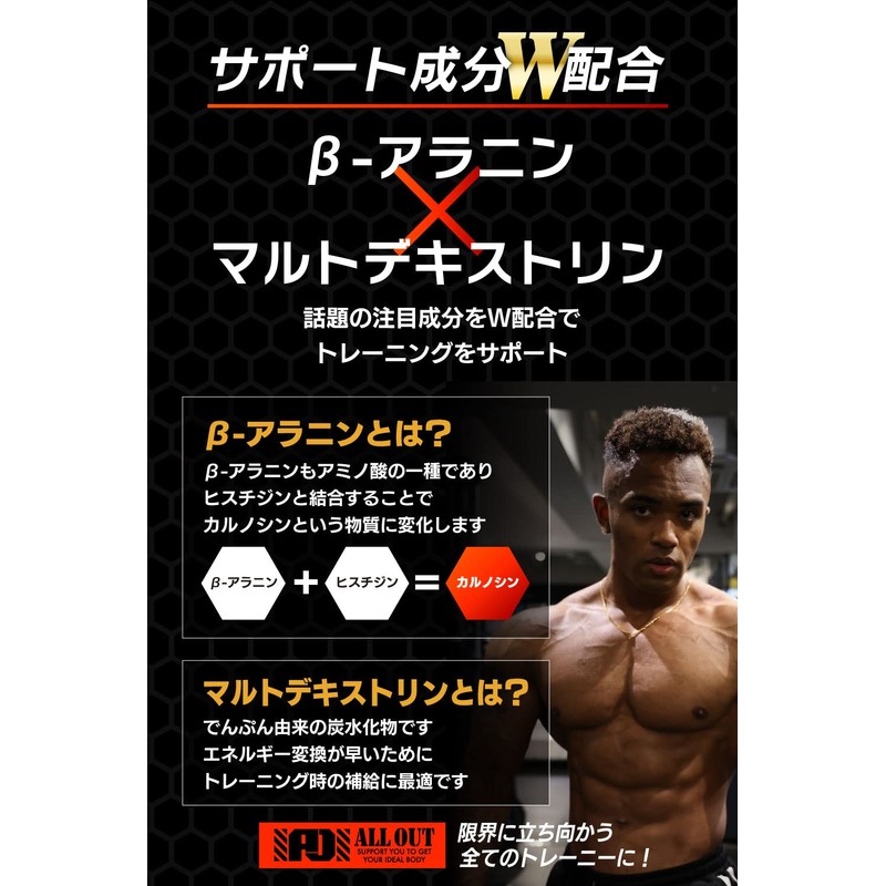 [パイン味] ALLOUT EAA 必須アミノ酸9種配合 βアラニン配合 600g 国産