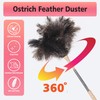 Extendable Ostrich Feather Duster, Natural Ostrich Feathers Long Handle Duster